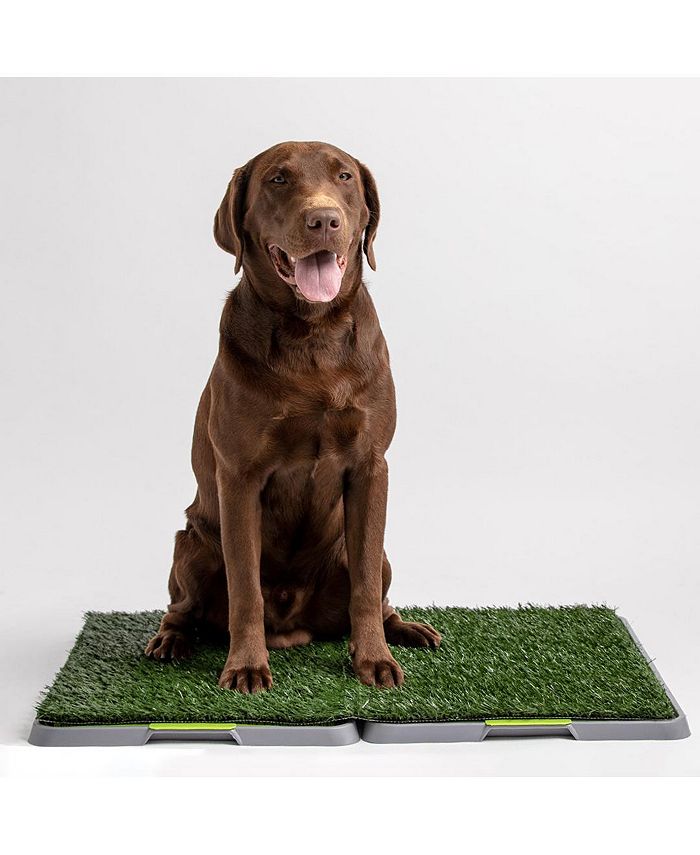 Silver Paw Dog Potty Patch Macy's