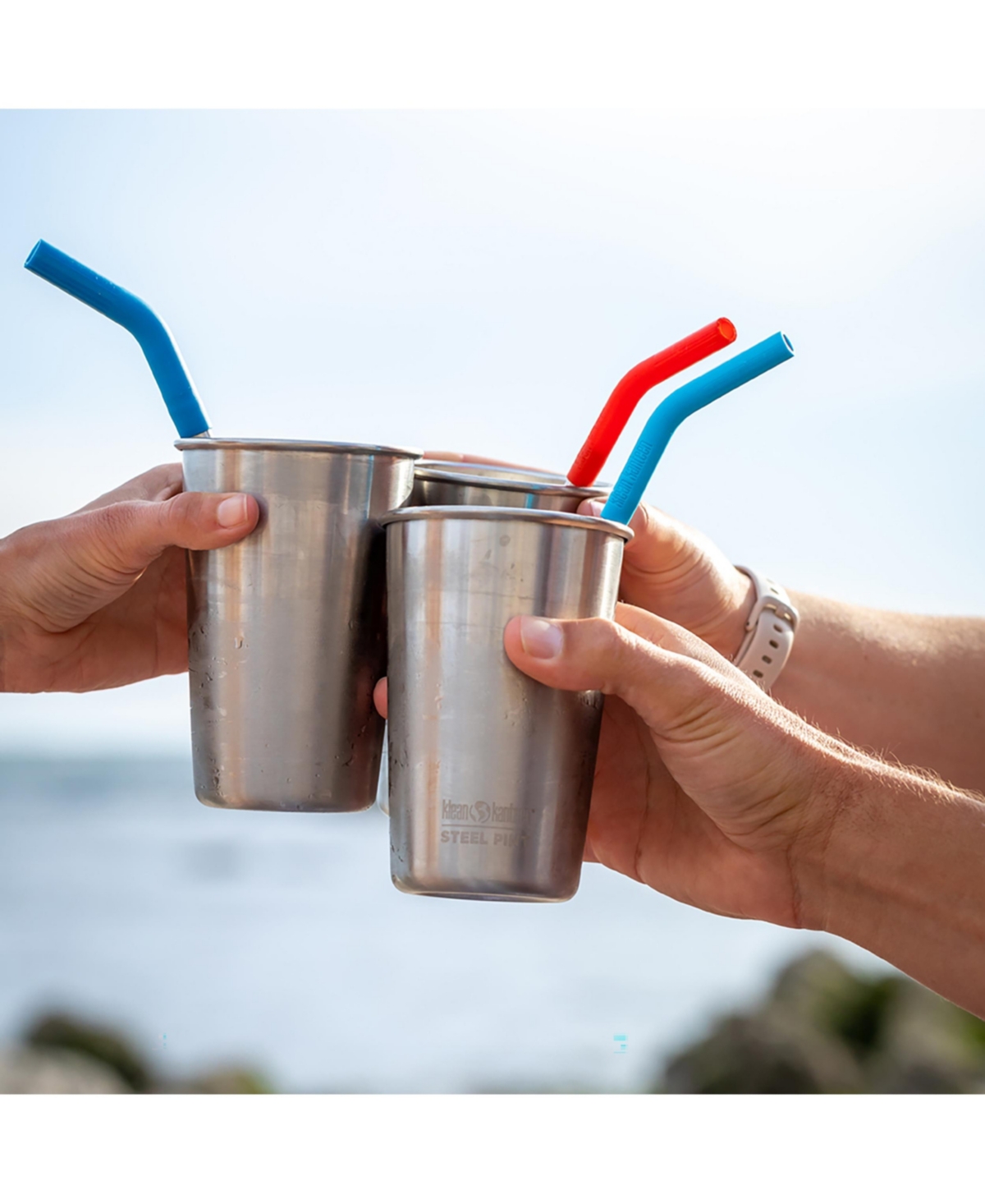 Stainless Steel & Silicone Straws w Brush - Multi-color/brushed stainless