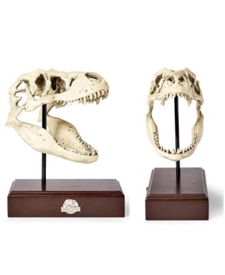 Jurassic World 9x8 Inch Tyrannosaurus Rex Skull Resin Replica