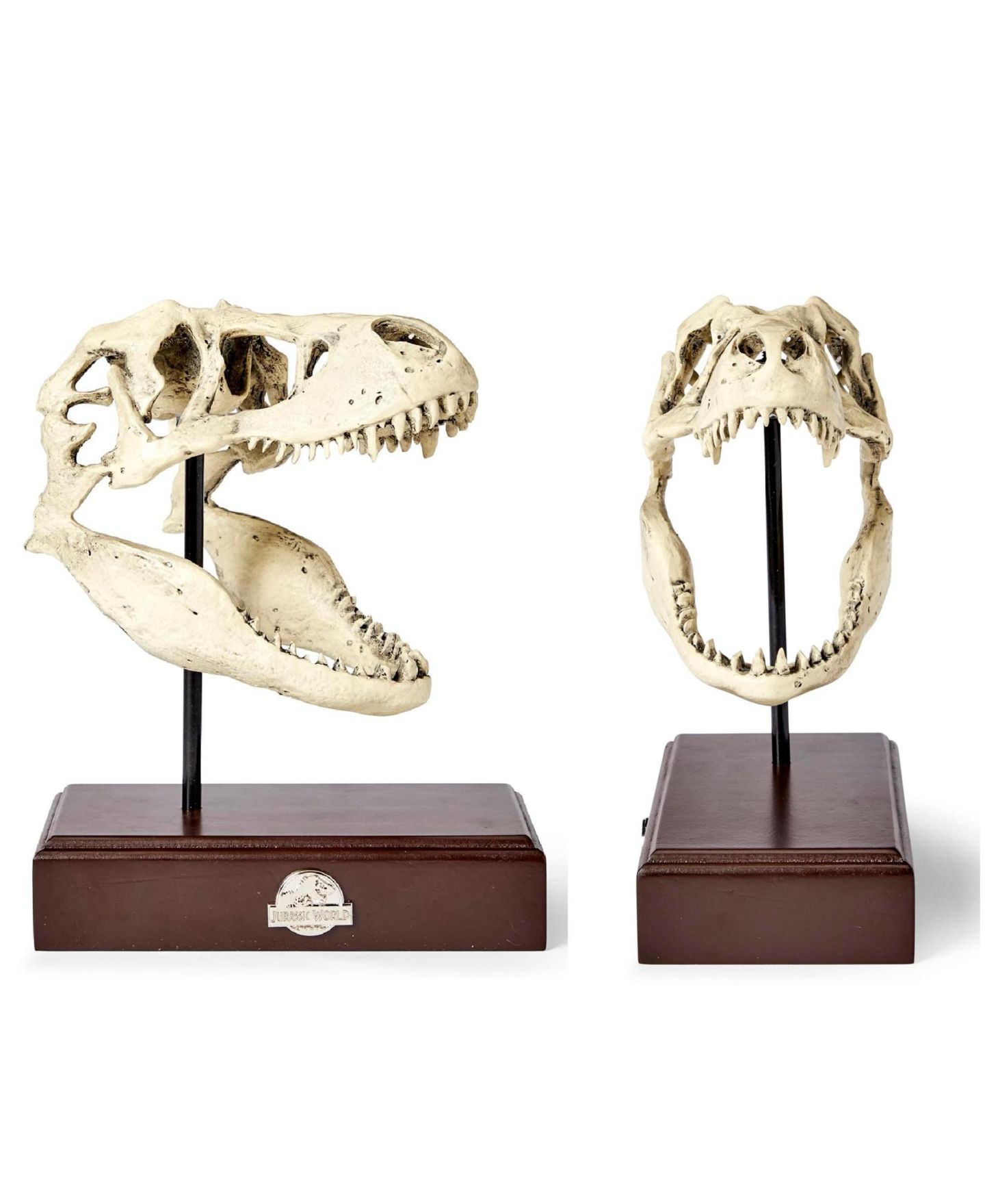 Детские фигурки Surreal Entertainment Jurassic World Tyrannosaurus Rex 9" Skull Replica, цвет: Коричневый — фото 2