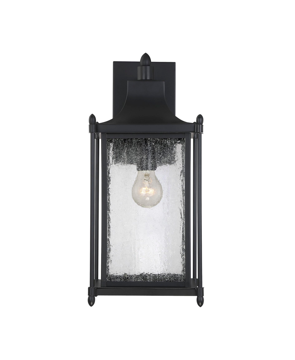 Dunnmore 1-Light Outdoor Wall Lantern in Black - Black