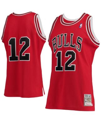 Mitchell & Ness Men's Michael Jordan Red Chicago Bulls Hardwood ...