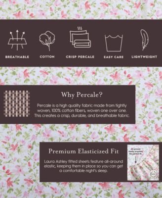 Cotton Percale 4-Pc. Sheet Set, Queen