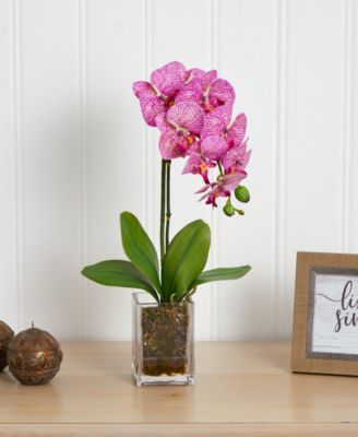 24" Orchid Phalaenopsis Artificial Arrangement in Vase