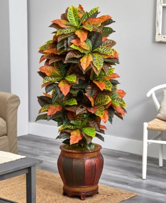 5.5' Croton Artificial Plant in Decorative Planter - Real Touch