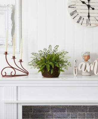 Mixed Fern with Twig & Moss Basket
