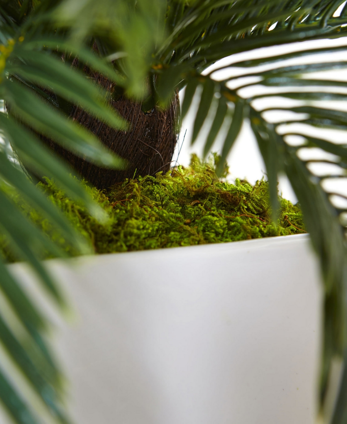 Nearly Natural Cycas Artificial Plant in White Planter