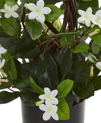 24” Stephanotis Artificial Climbing Plant