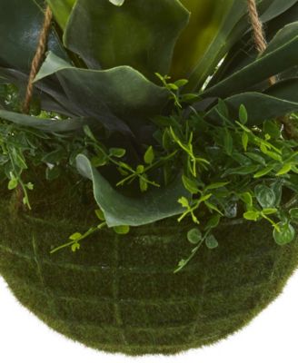 Agave and Maiden Hair Artificial Plant in Hanging Basket (Indoor/Outdoor)