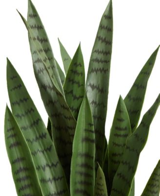 38-In. Sansevieria Artificial Plant
