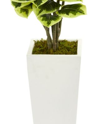Variegated Rubber Leaf Artificial Plant in White Tower Vase