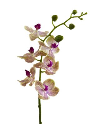 29-In. Phalaenopsis Orchid Artificial Flower, Set of 4