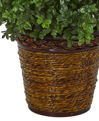 23" Sweet Grass Artificial Plant in Basket Indoor/Outdoor