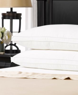 Gusseted Firm Plush Down Alternative Side/Back Sleeper 2-Pack Pillow, Standard