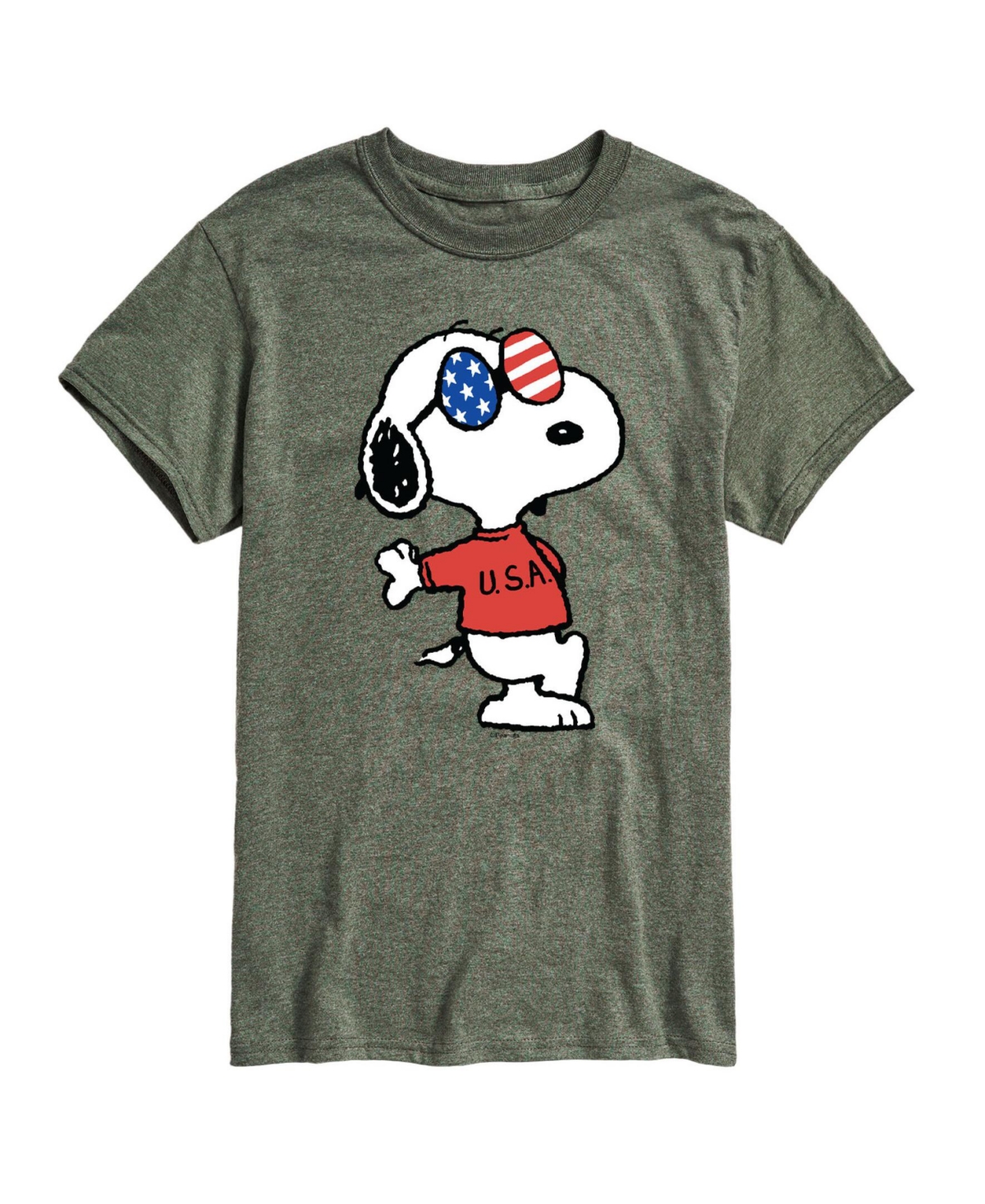 Airwaves Men's Peanuts Americana Short Sleeves T-shirt In Green