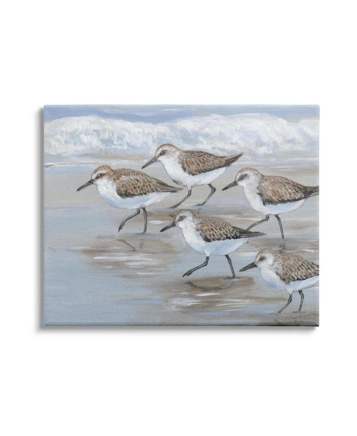 Stupell Industries Sandpiper Birds Beach March Canvas Wall Art, 16" X 1.5" X 20" In Multi-color