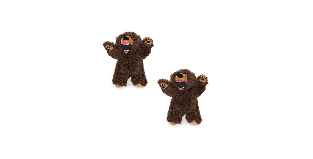 Jr Angry Animals Bear, 2-Pack Dog Toys - Brown