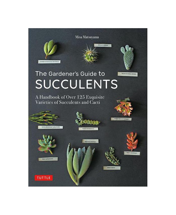 Barnes & Noble The Gardener's Guide to Succulents: A Handbook of Over ...