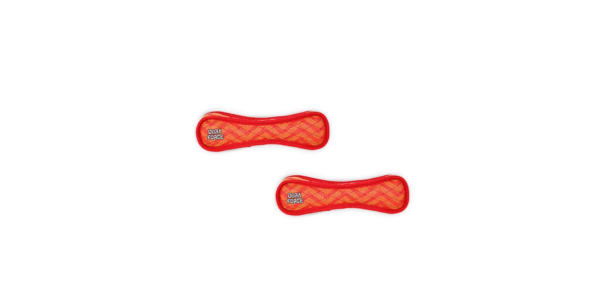 Bone ZigZag Red-Red, 2-Pack Dog Toys - Bright Red