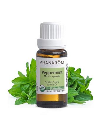 Pranarom Peppermint Essential Oil, 15mL, Pure, Aromatherapy