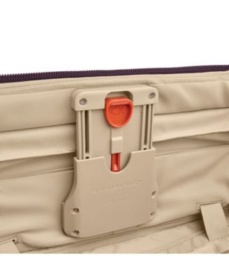 Baseline 21" Global Carry-On Spinner