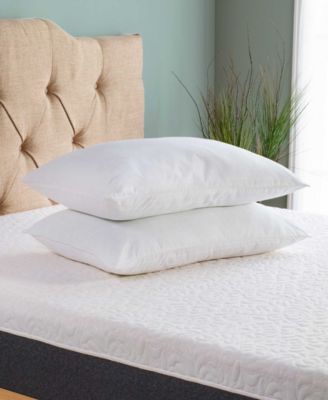 Beyond Down Traditional 2 Pack Pillows Collection In White