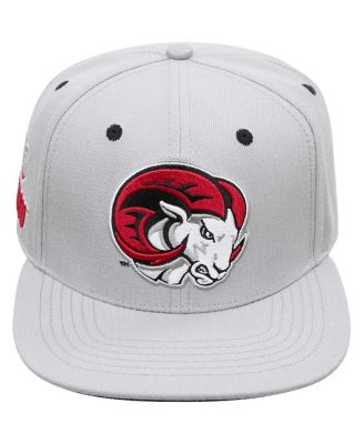 Men's Gray Winston Salem Rams Evergreen Mascot Snapback Hat