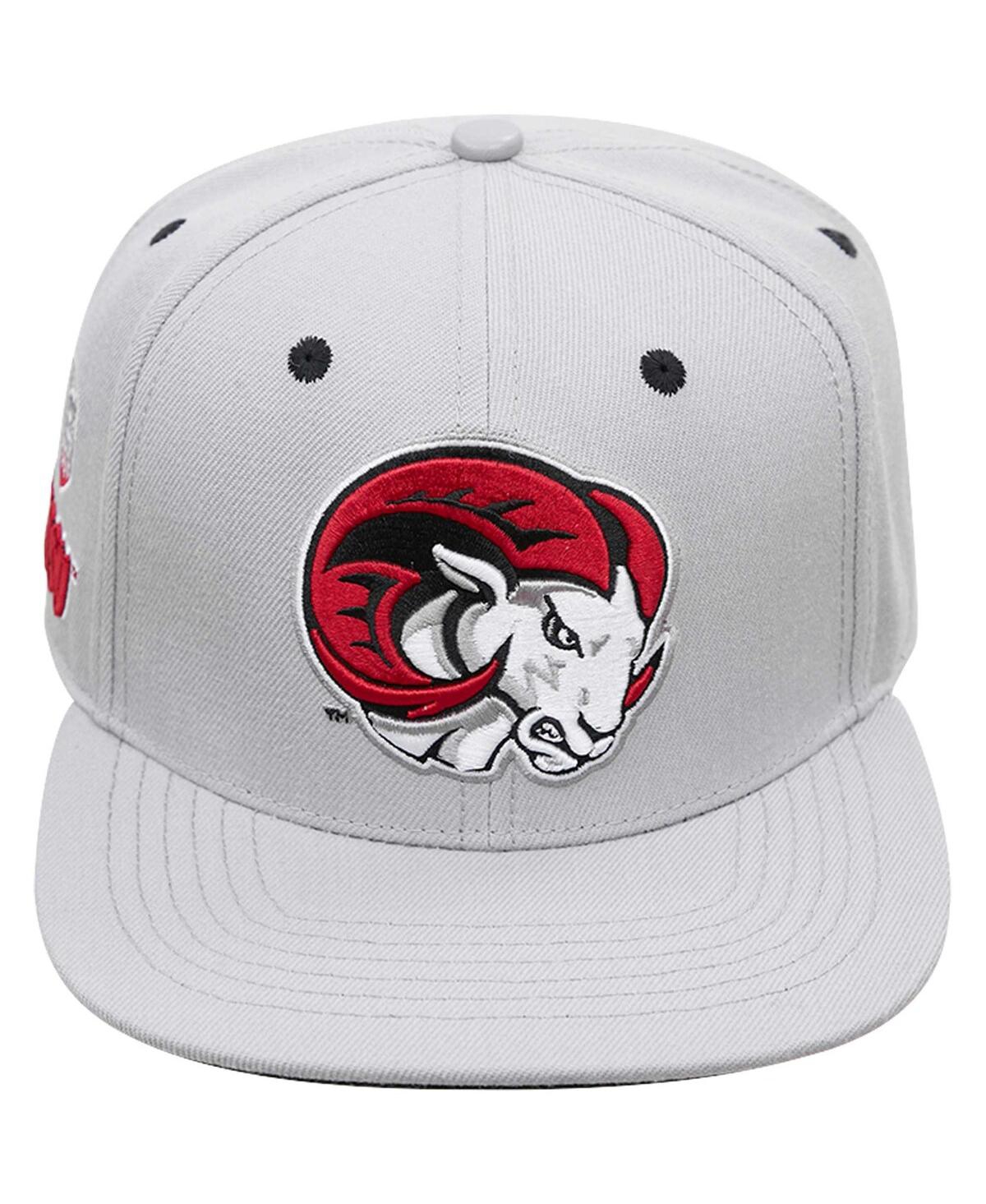 PRO STANDARD MEN'S PRO STANDARD GRAY WINSTON SALEM RAMS EVERGREEN MASCOT SNAPBACK HAT 