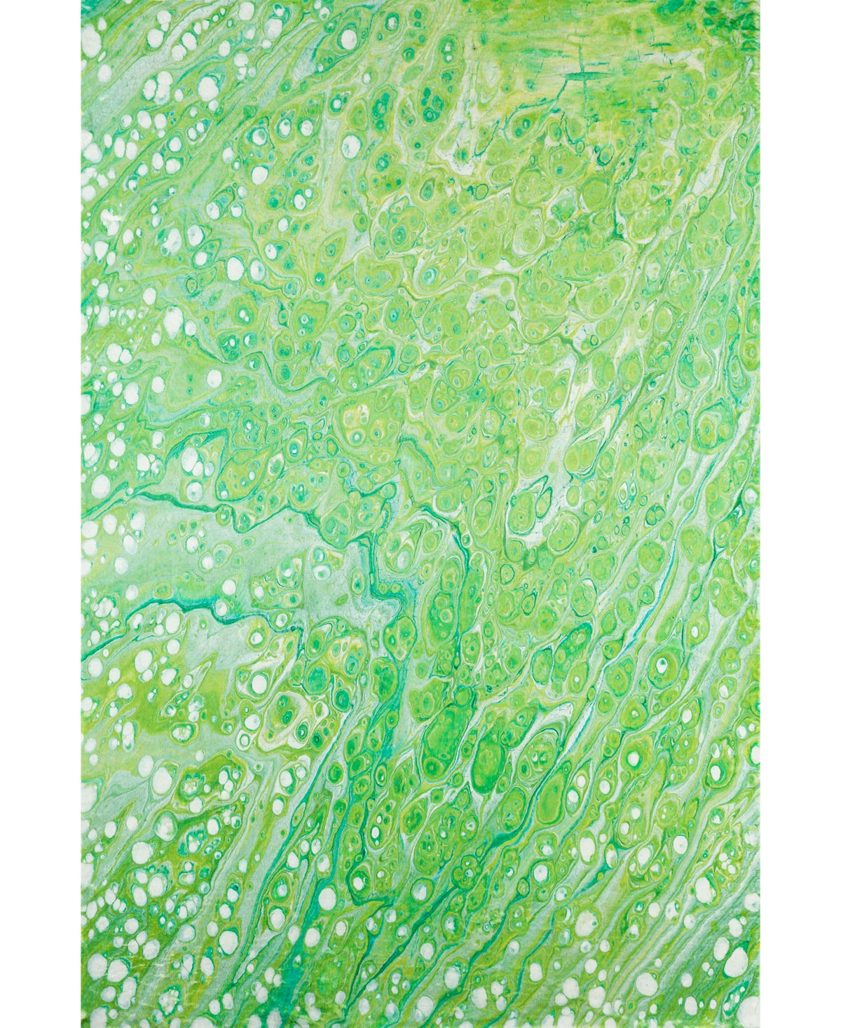 D Style Splash Spl5 5' X 7'6" Area Rug In Lime