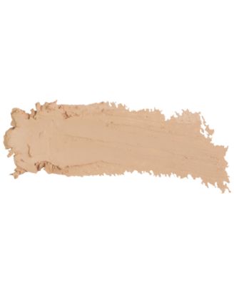 Tinted Blur Foundation Stick