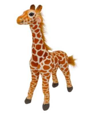 Jared the Giraffe