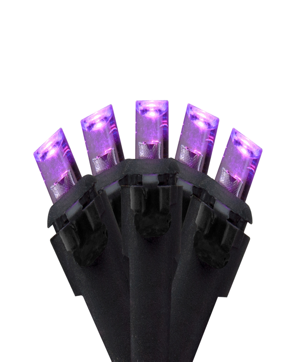 Northlight 50 Count Wide Angle Led Christmas Lights, 16' Black Wire In Purple