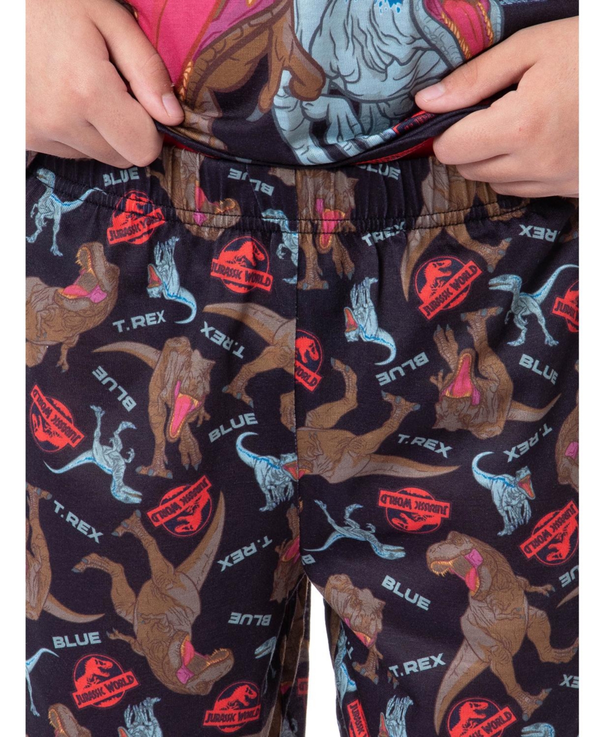 Jurassic Park Boys Jurassic World Blue T-Rex Park Logo Sleep Pajama Set