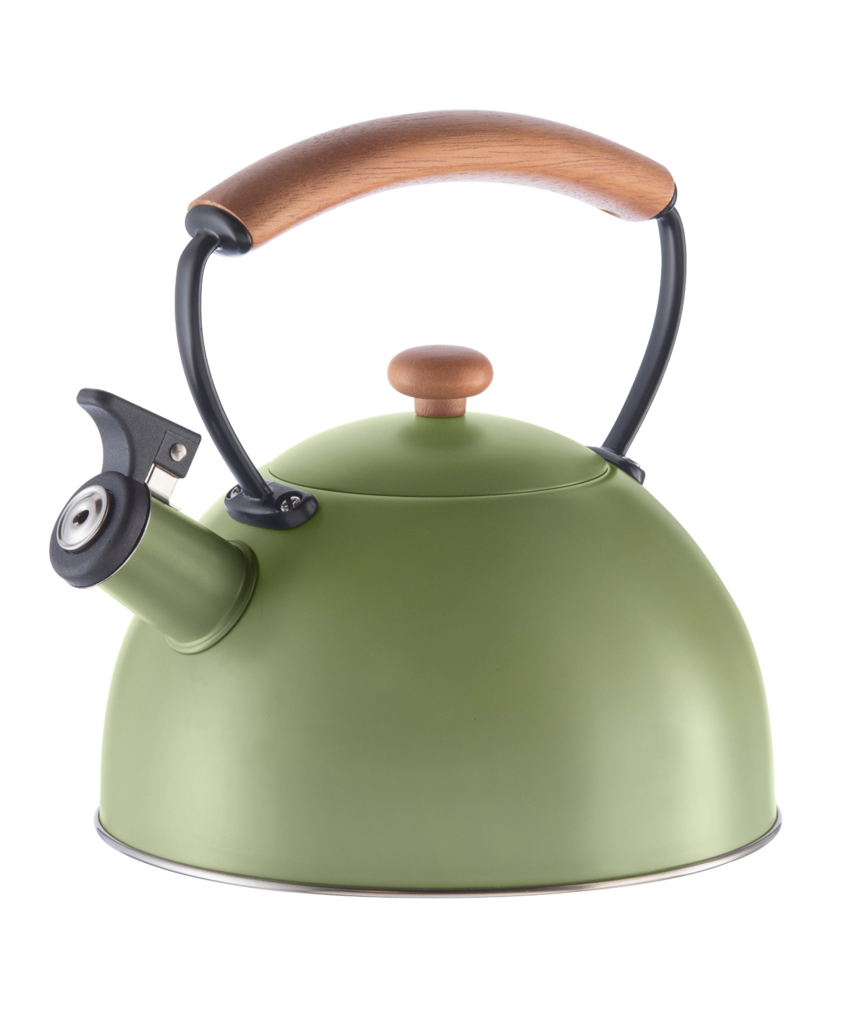 Oggi 2.5 Litre Whistling Tea Kettle With Wood Handle In Green