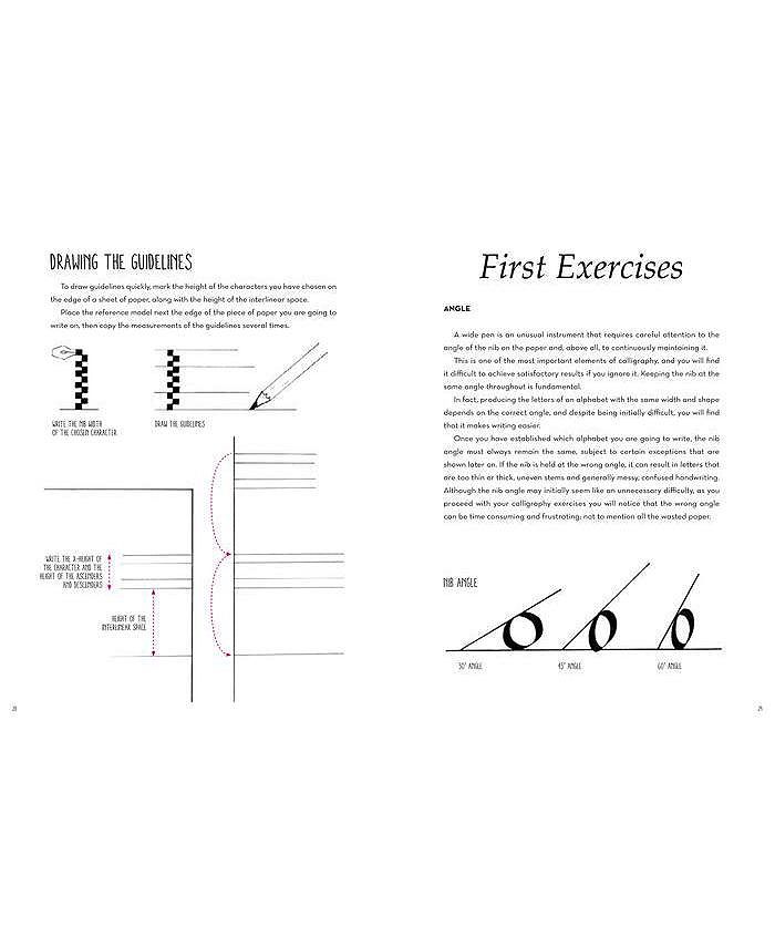 Barnes & Noble The Art of Hand Lettering Calligraphy Techniques and