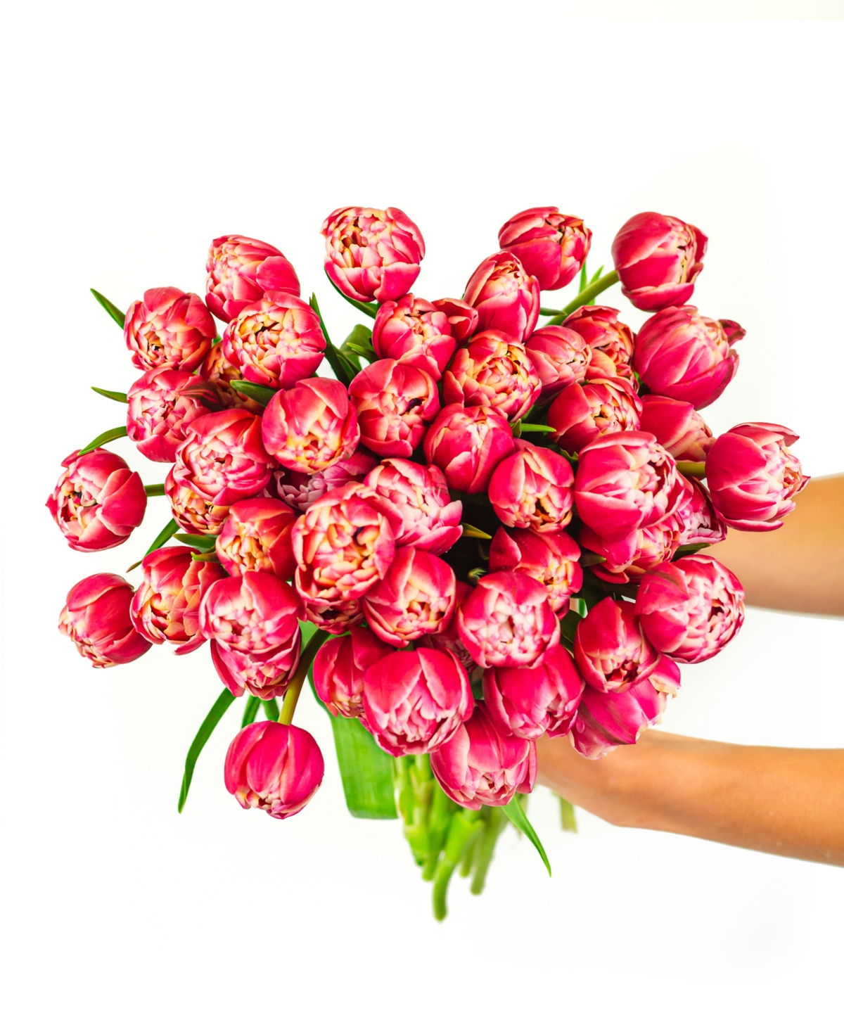 Pink Peony Tulips Fresh Flower Bouquet