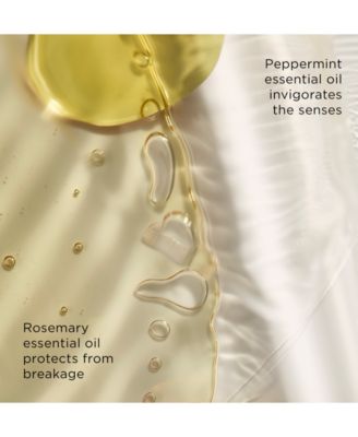 The Beard Wash, 4 Fl Oz