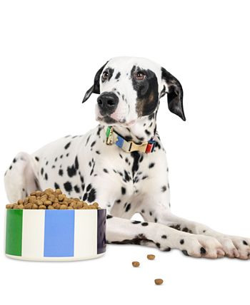 Kate spade new arrivals dog bowl