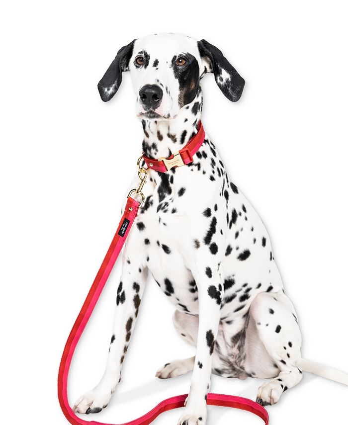 Kate spade store dog leash