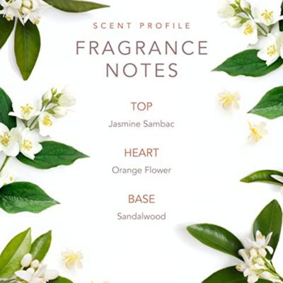 Dolly Parton - Eau de Toilette - Early Morning Breeze