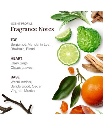 Scent Beauty, Stetson Spirit All Over Hair & Body Wash - 3 Pack