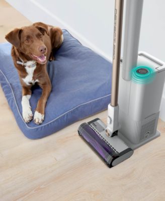 Cordless Detect Clean &amp; Empty Auto-Empty System with QuadClean Multi-Surface Brushroll- IW3511