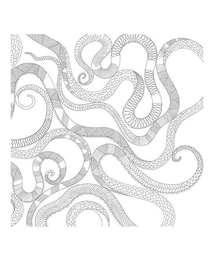 Barnes & Noble Animal Kingdom- Color Me, Draw Me by Millie Marotta - Macy's