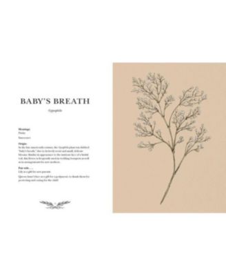 Floriography- An Illustrated Guide to the Victorian Language of Flowers by Jessica Roux