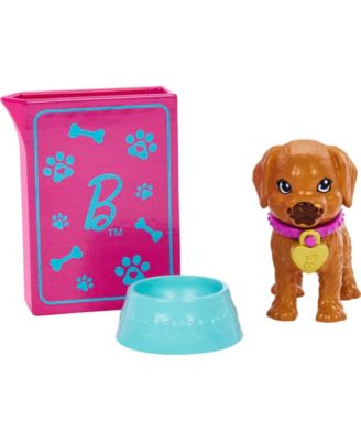 Doll and Accessories Pup Adoption Playset with Doll, 2 Puppies and Color-Change