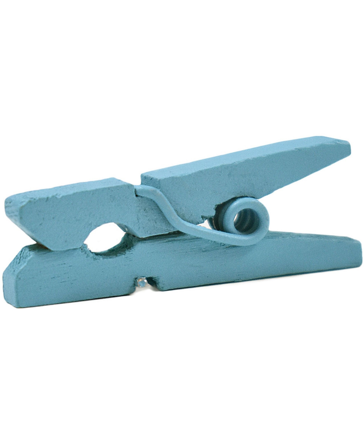 Shop Jam Paper Wood Clip Clothespins In Blue