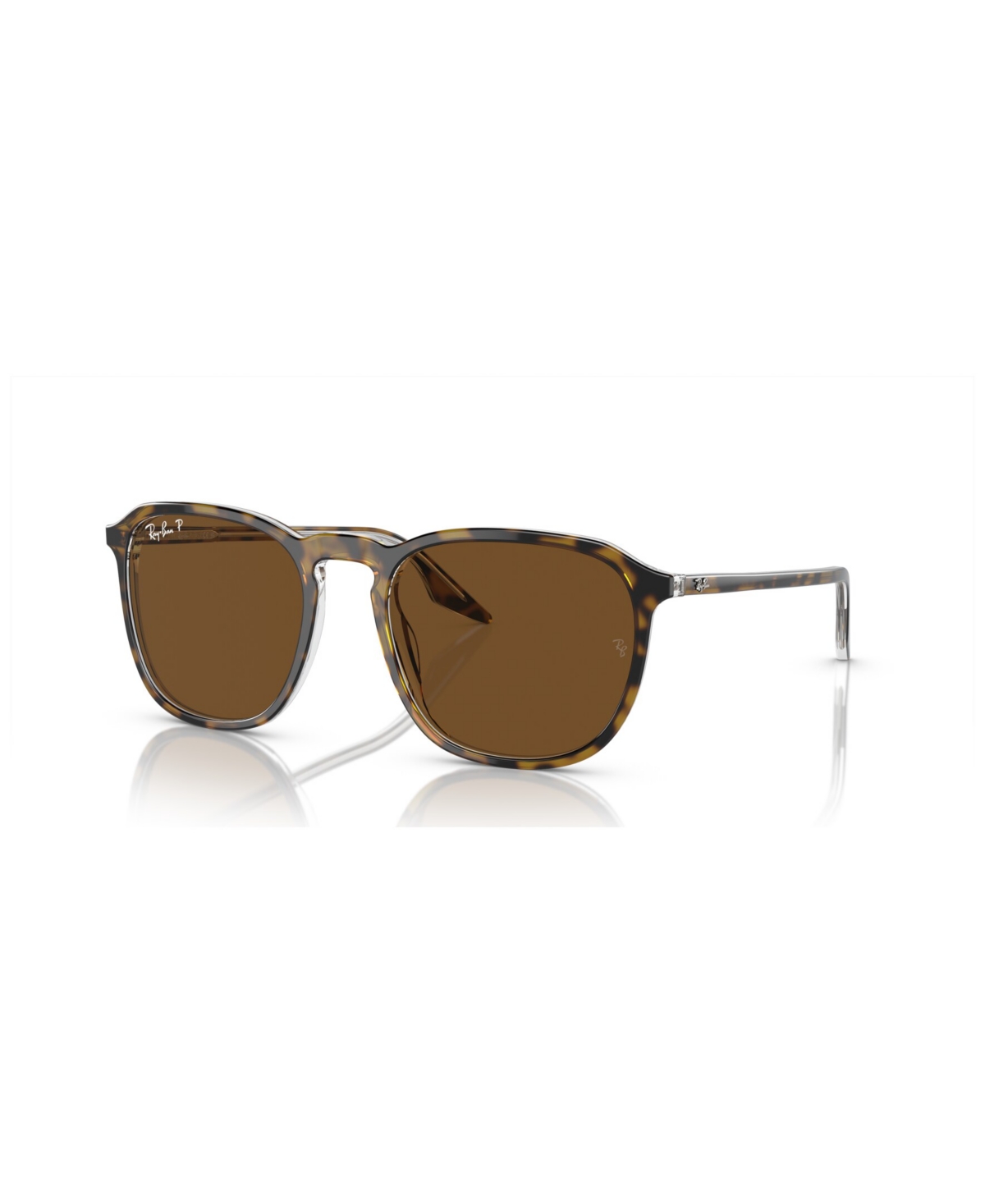 Ray Ban Rb2204 Sunglasses Havana On Transparent Frame Brown Lenses Polarized 51-20 In Havana