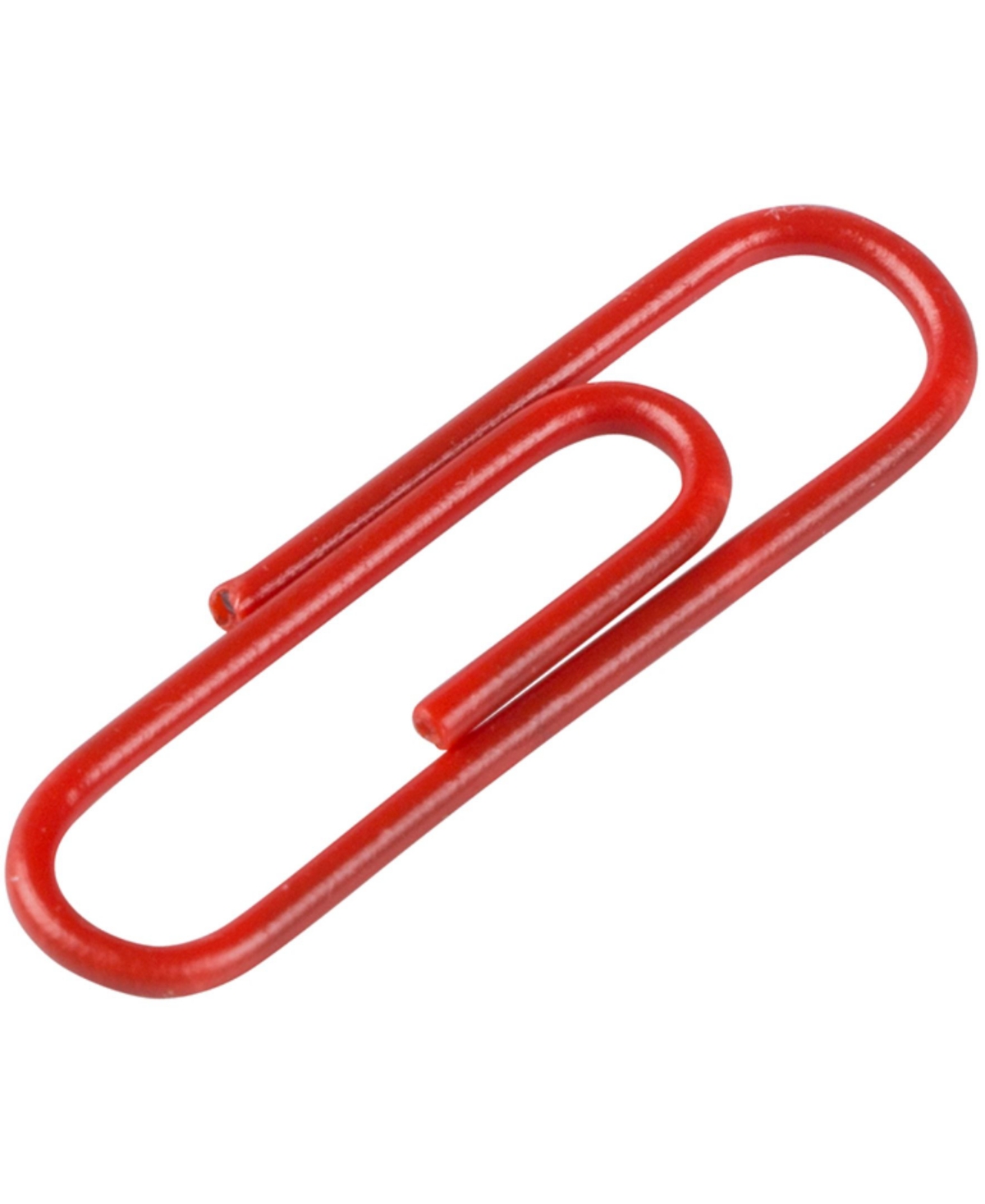 Shop Jam Paper Colorful Standard Paper Clips In Red