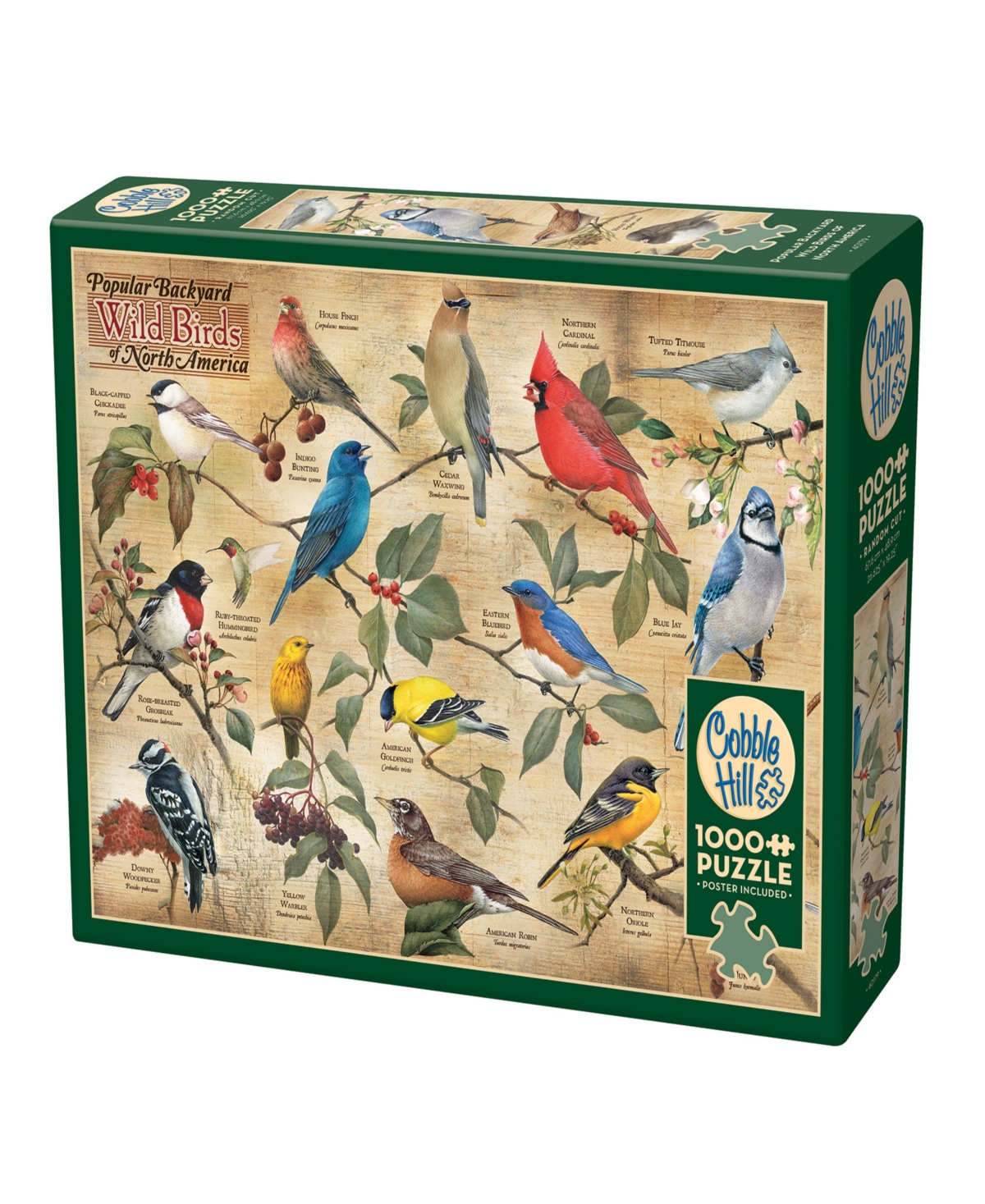 Cobble Hill Kids' - Popular Backyard Wild Birds Of North America Puzzle In Multi