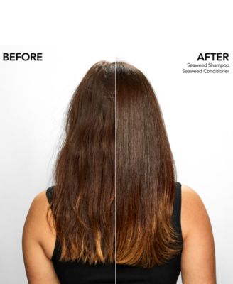 Seaweed Shampoo, 8.5 oz.